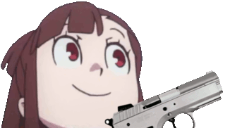 akko_gun