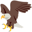 googleeagle