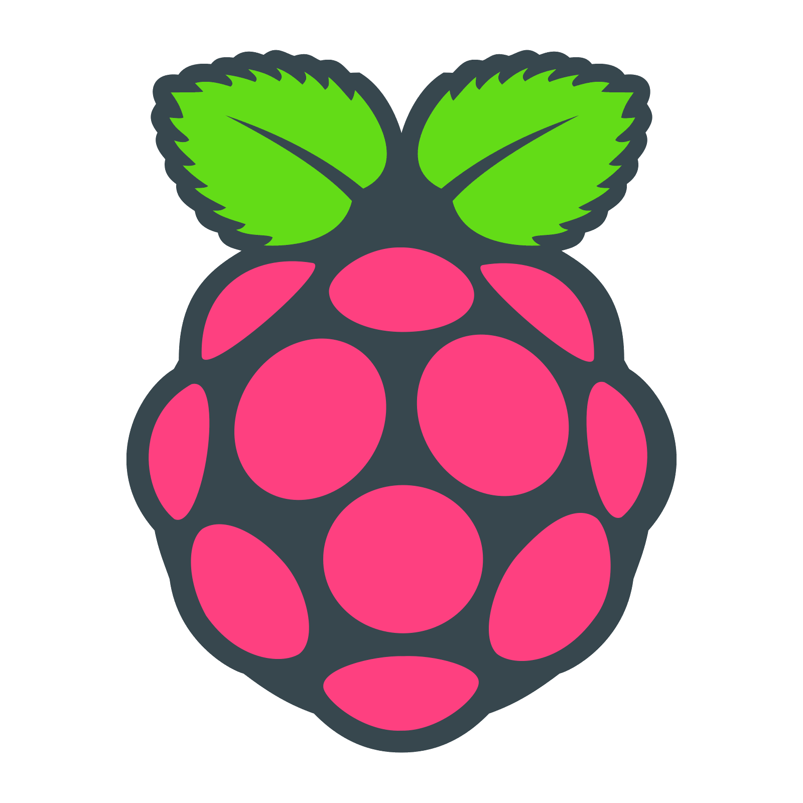 raspberrypi