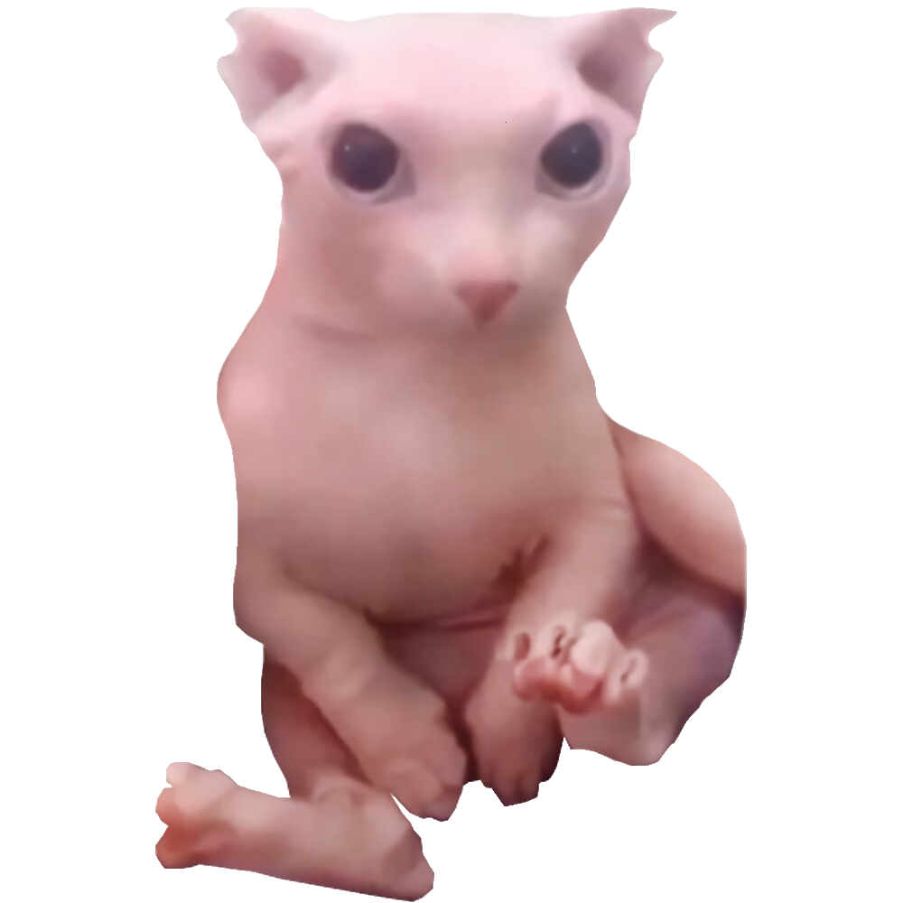 bingus