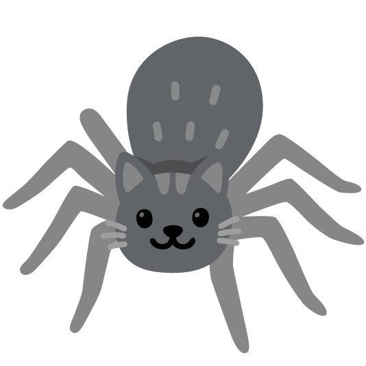 spider_cat