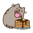 apusheenpancakes