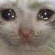 cryingmeow