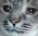 :jester: :jester: