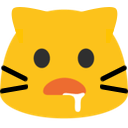 meowDrool